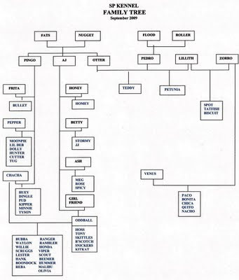 dog family tree
