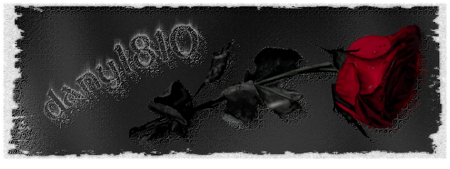 dany1810