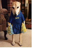 cheerleader dog