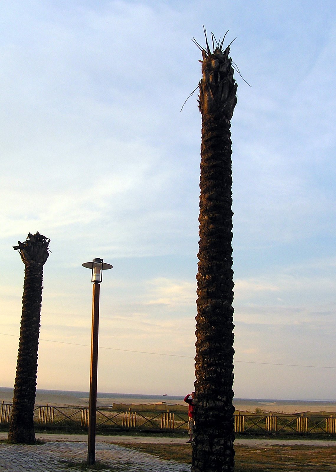 [P4170757.JPG]