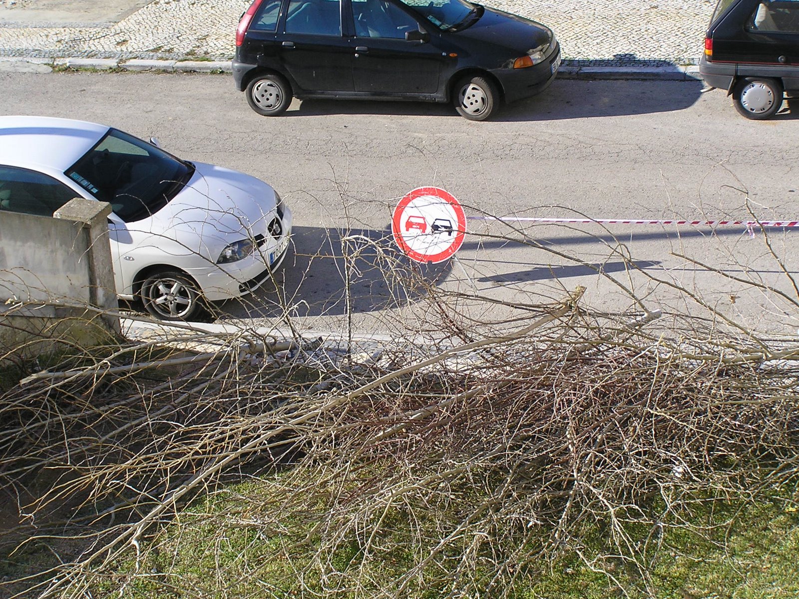 [trânsito-2.JPG]