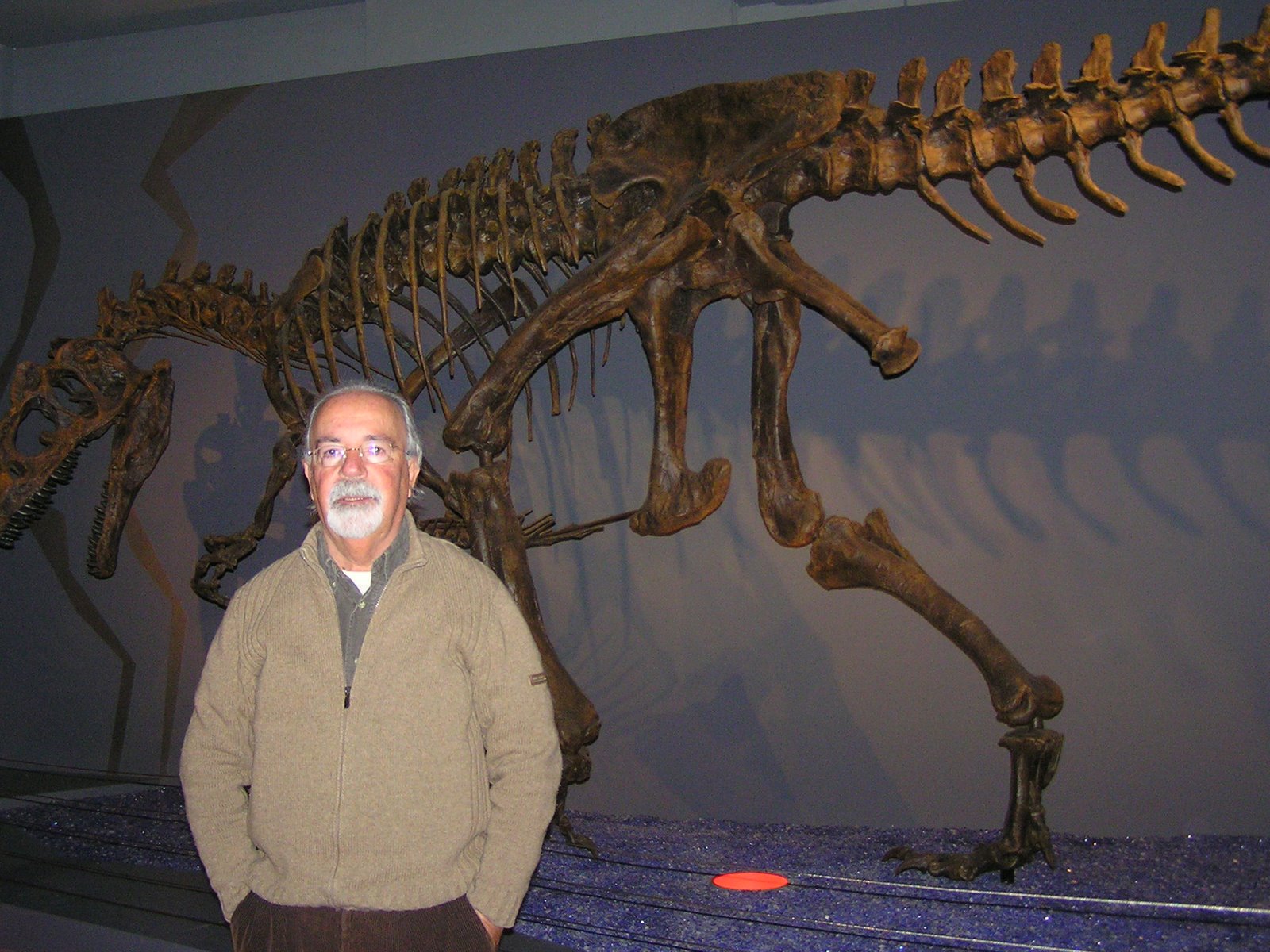 [DINOSSÁRIOS-1.JPG]