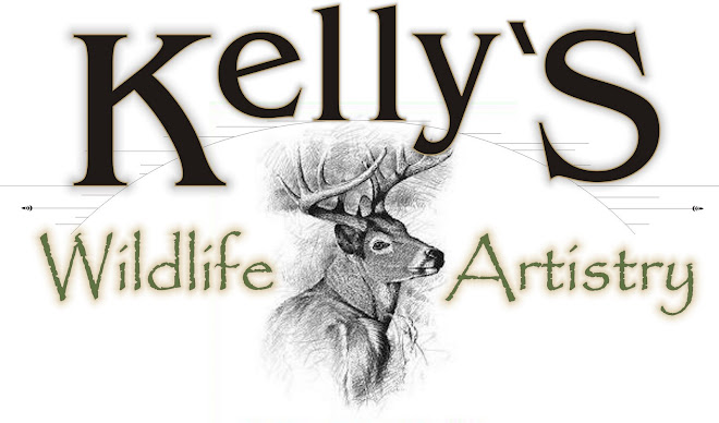 Kelly's Wildlife Artistry