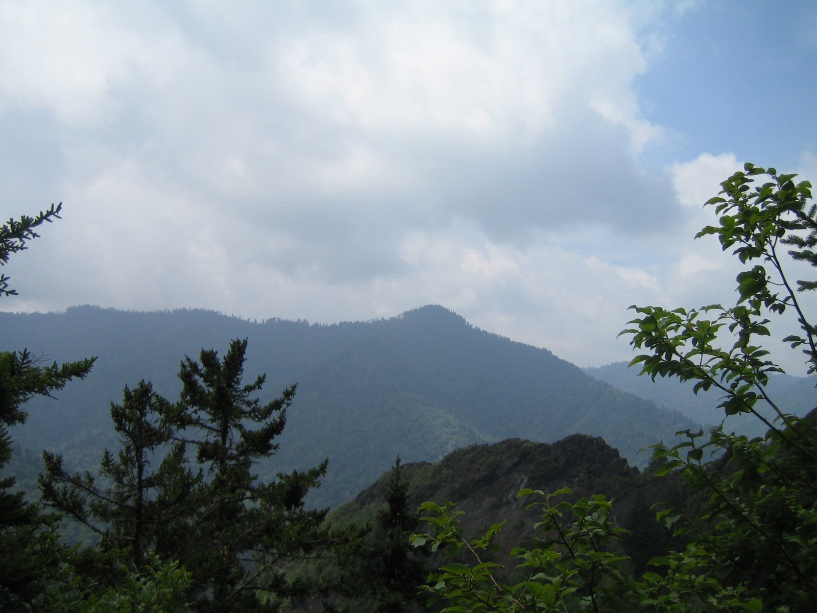 [IMG_8329.JPG]
