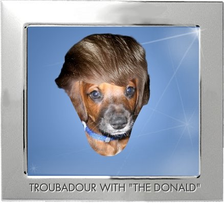 [PYP-Troubadour+with+the+Donald.jpg]