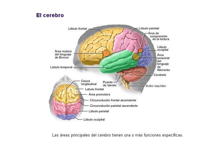 Imagen relacionada