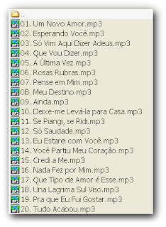 Heatseek gold edition v1.3.1.5 with crackers