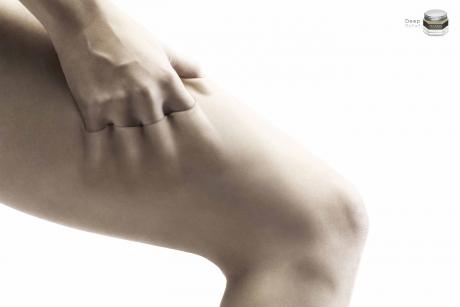 [harnnLeg_preview.jpg]
