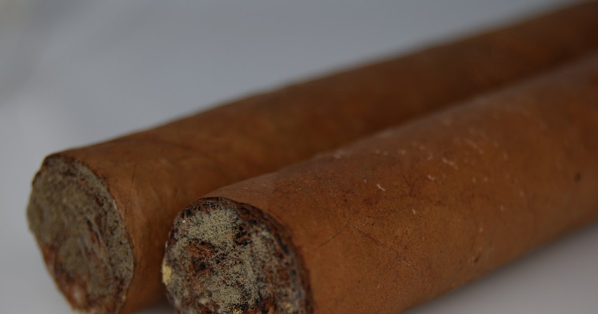 Tobacconist University Cigar Mold