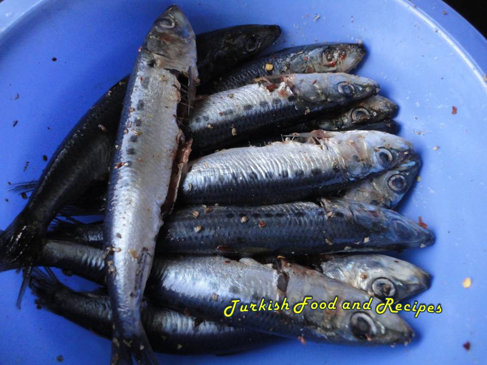 Pan Fried Sardines (Sardalya Tava)