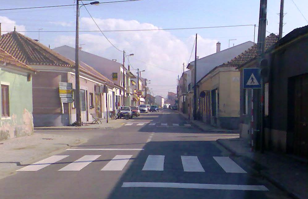 [Img051.jpg]