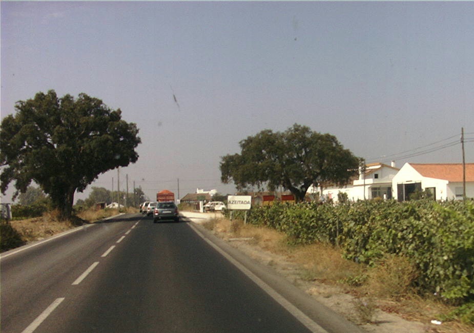 [Pict0248.JPG]