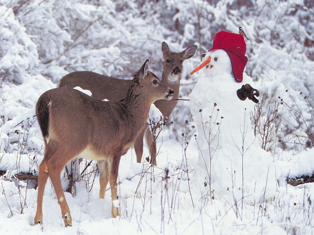 [snowman-with-deers.jpg]
