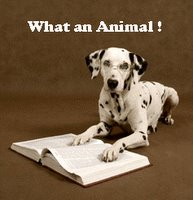 [What+an+Animal.bmp]