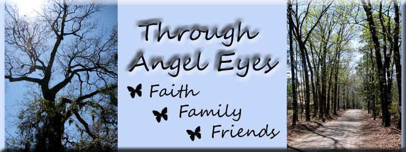 Through Angel Eyes