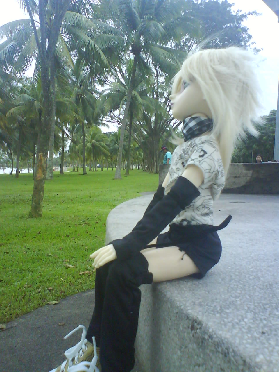 [DSC00547.JPG]
