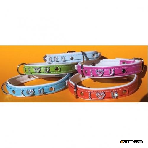 Collar Para Perros