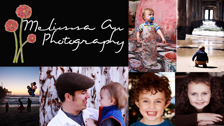 The World Through My Camera Lens