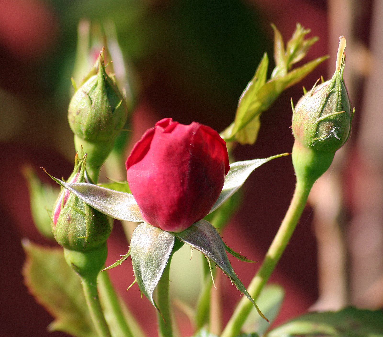 [IMG_9827.JPG]