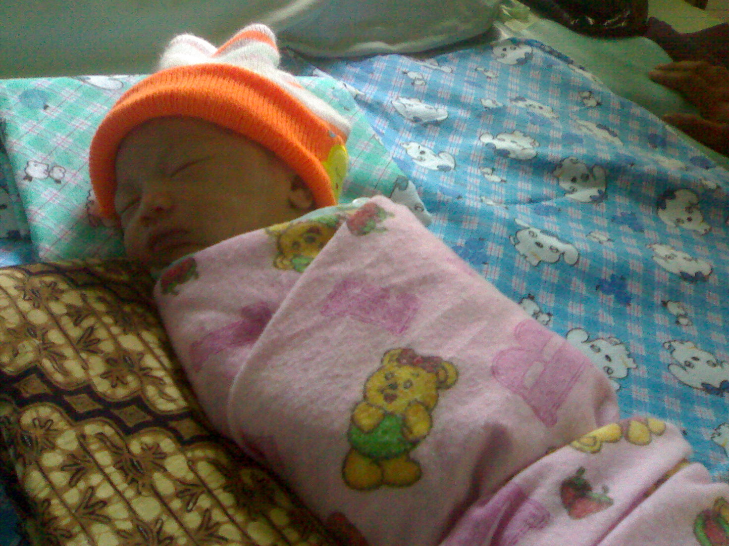~Perkembangan Bayi Usia 0-4 Bulan~