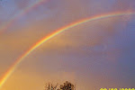 Rainbow after a heavy storm out front of my home.