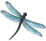 [dragonflycol72.jpg]