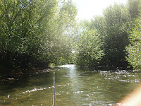 winding through a willow tunnel in Patagonia