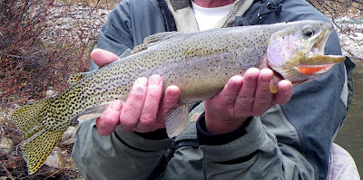 Jeff Rogers Fly Fishing the Bitterroot River on a WET Day