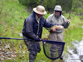 Big Hole River in late June – a rainy day and good fishing