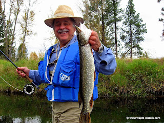 Fly Fishing – trico-pico day on the Bitterroot with Marshall
