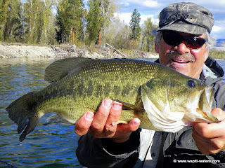 Fly Fishing the Bitterroot – surprised with trico/bass fishing