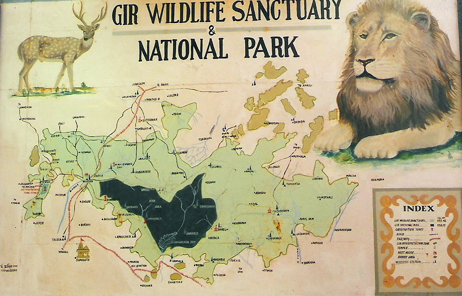 An Indian Bureaucrat's Diary: Gir National Park