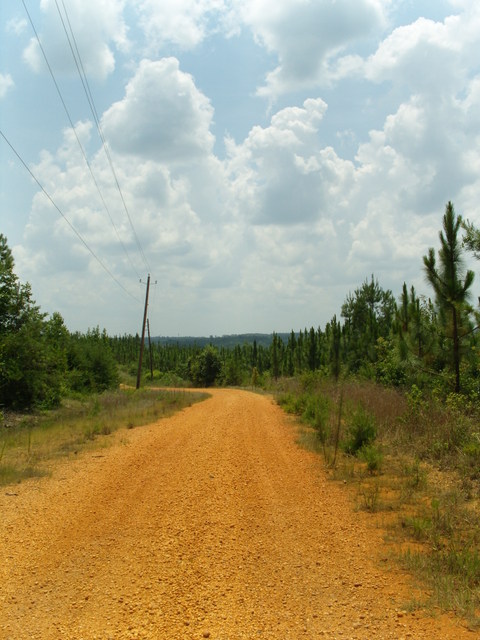 [alabama_road]