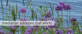 mediation and conflict resolution for solutions that work mediation solutions that work