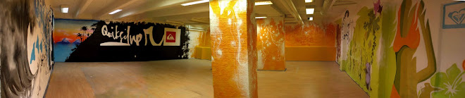 quiksilver store downstairs (turku 2007) spray/ bucket paint, panorama