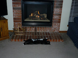 Our cat "Nike" enjoyed the 1st day our fireplace was turned on. Her front leggs are staight up.