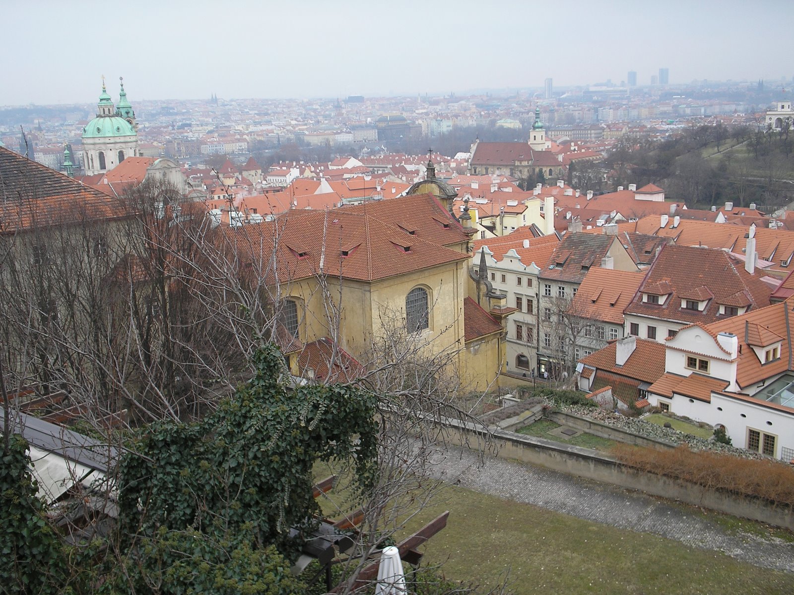 [P1013454.JPG]