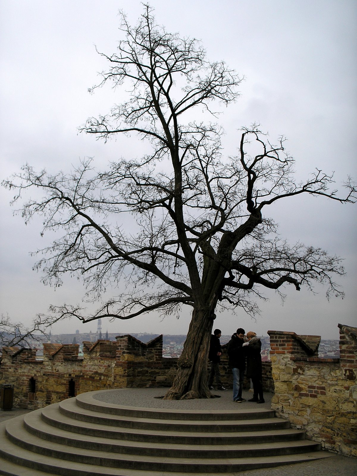 [P1013474.JPG]