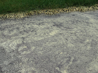 pollen on the driveway