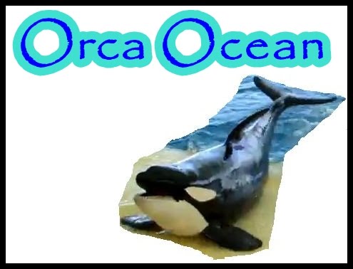 Orca Ocean