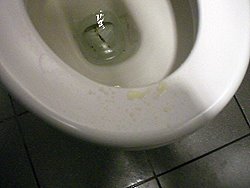 [O2_7.jpg]