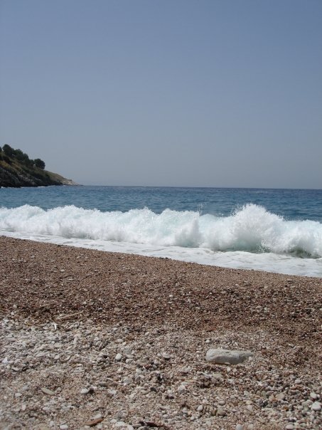 [n596846360_1200513_8009.jpg]