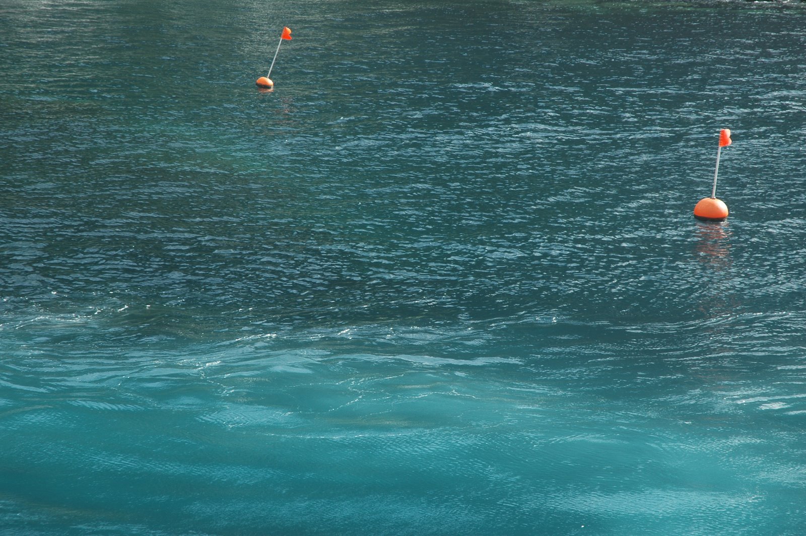 [DSC_0084.JPG]