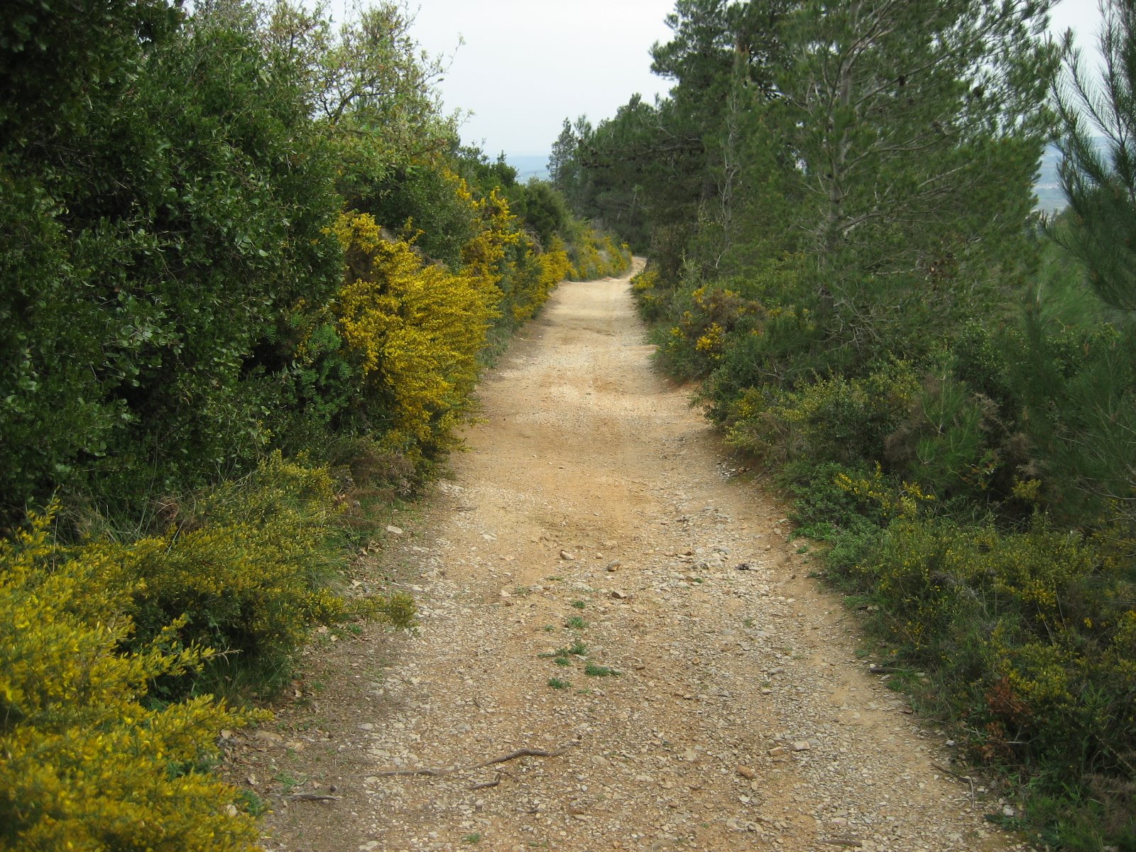 [IMG_1858.JPG]