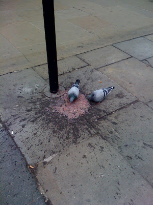 Disgusting Trainers