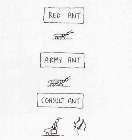 [consult+ant.bmp]