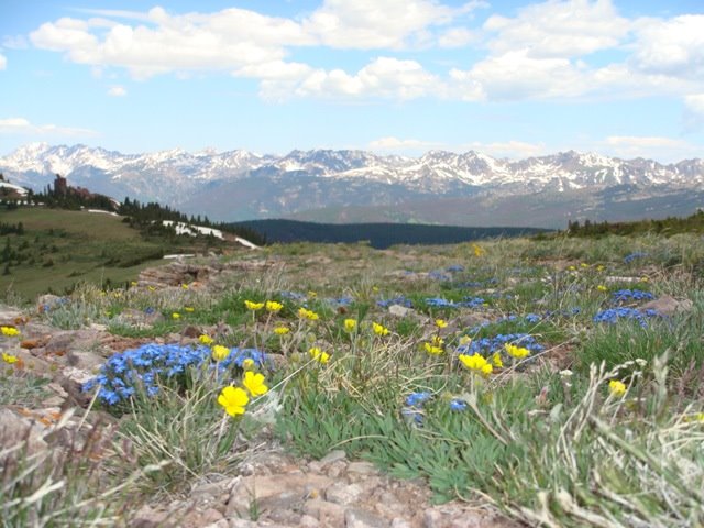 [DSC06059.JPG]