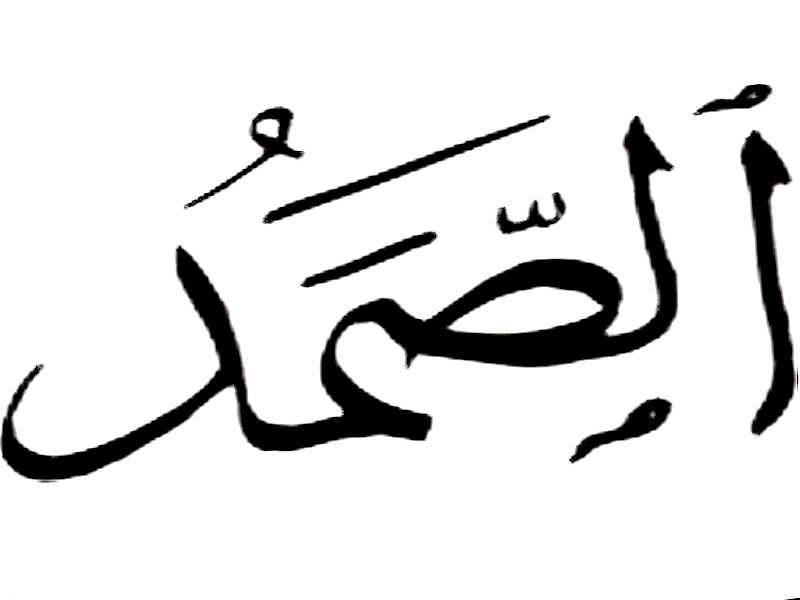 Lengua Arabe