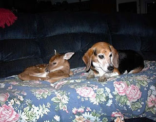 Your Daily Cute 2008 08 24