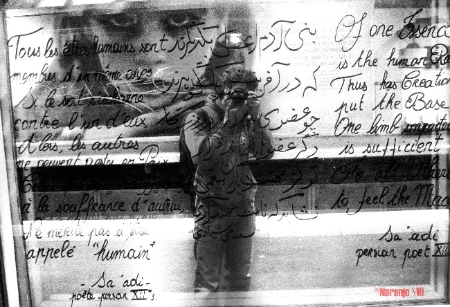 Alex Naranjo. Photographer